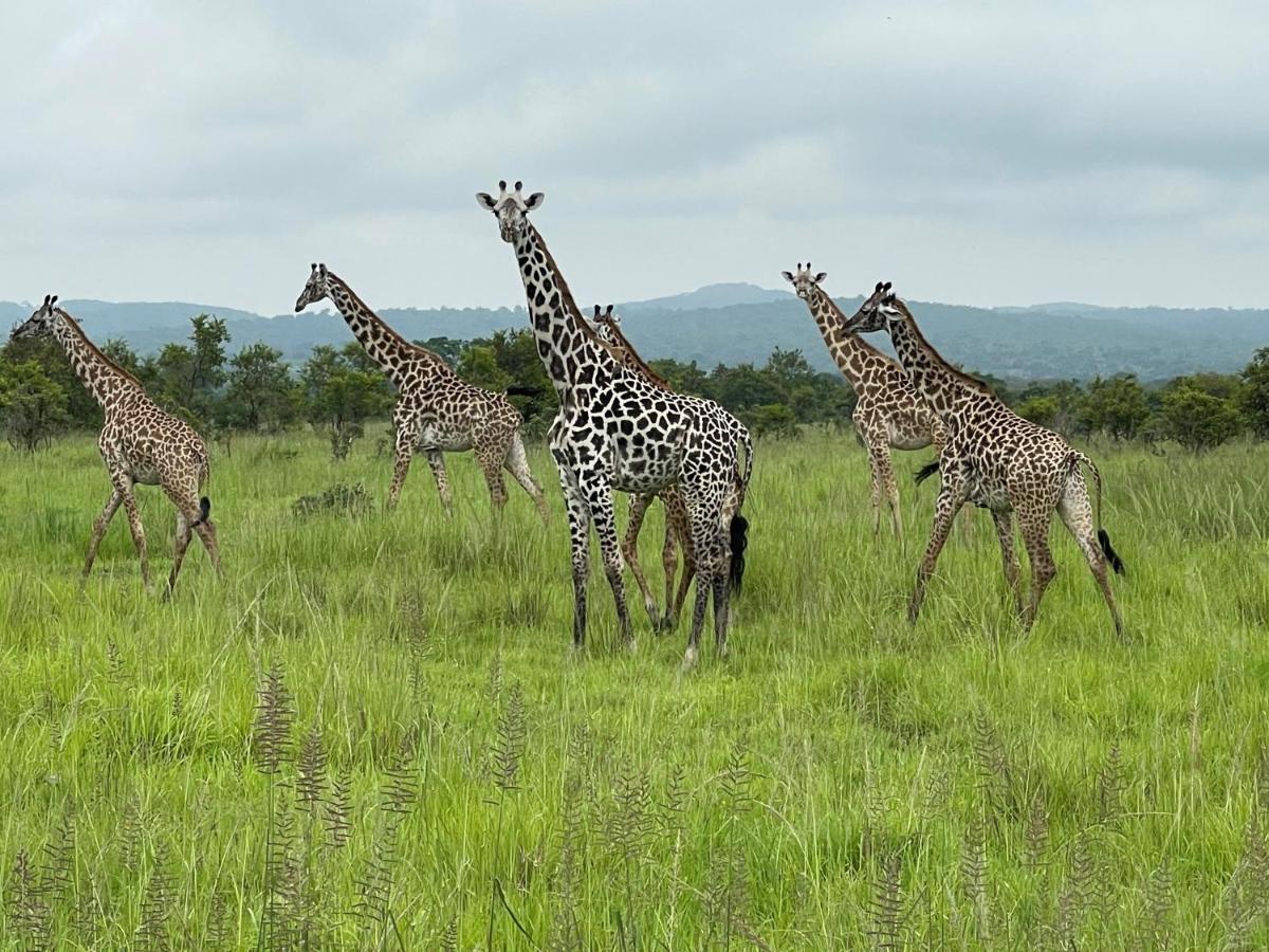 Отель Camp Atupele Mikumi Экстерьер фото