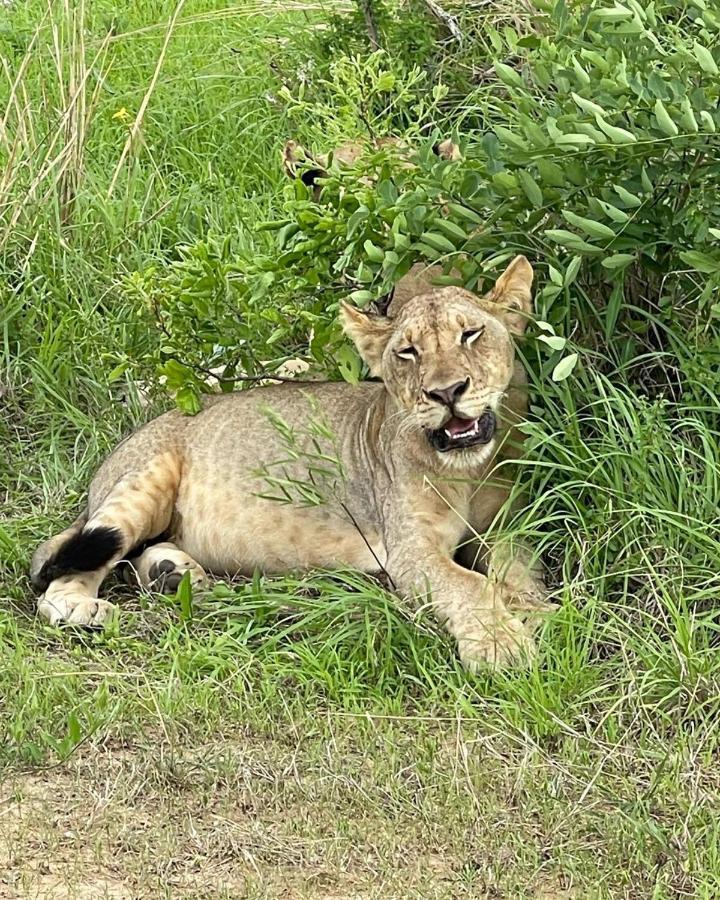 Отель Camp Atupele Mikumi Экстерьер фото